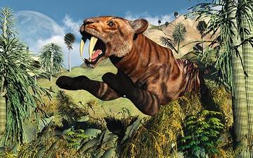 Säbelzahntiger